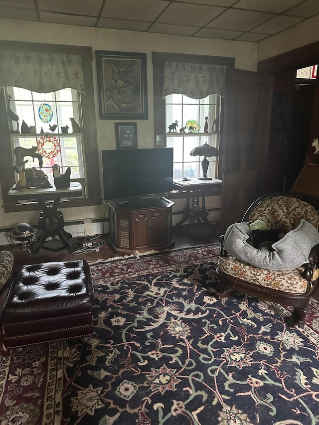 210 Ferguson Rd, Shapleigh, ME 04076 - living area with a paneled ceiling