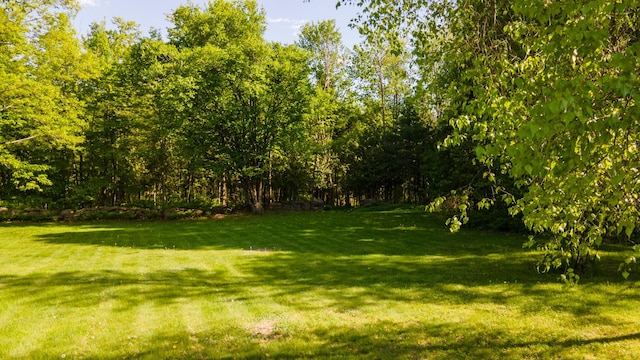 34 Mcphetres Rd, Sangerville, ME 04479 - view of green lawn