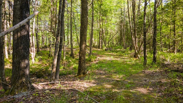 34 Mcphetres Rd, Sangerville, ME 04479 - view of woods