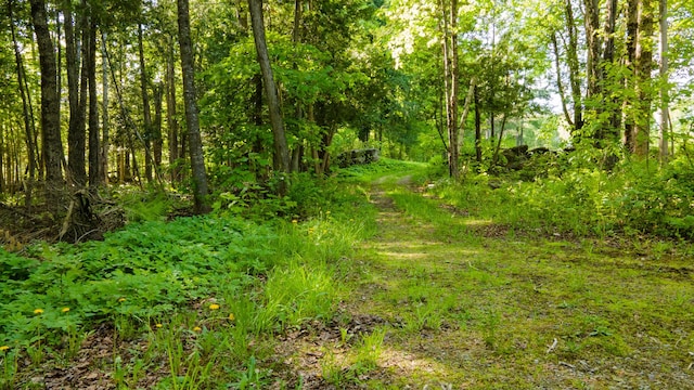 34 Mcphetres Rd, Sangerville, ME 04479 - view of nature