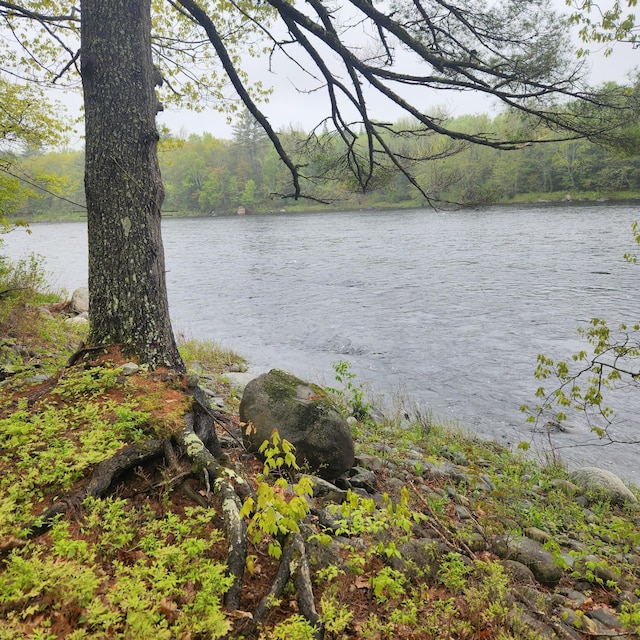 849 N Rd, Medford, ME 04463 - water view featuring a forest