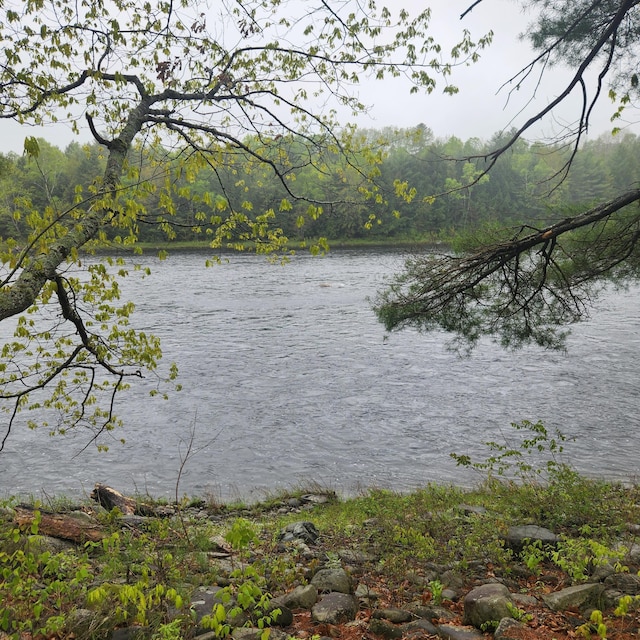 849 N Rd, Medford, ME 04463 - water view with a heavily wooded area