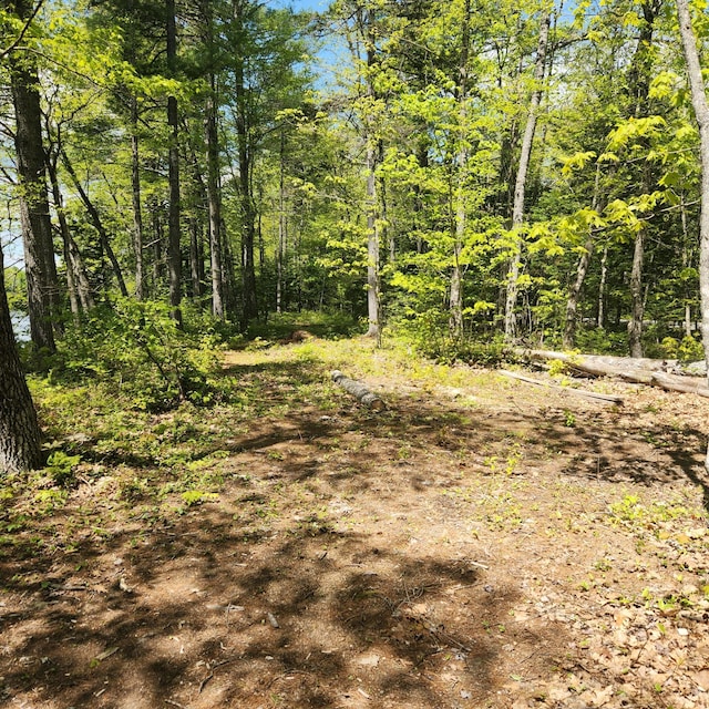 849 N Rd, Medford, ME 04463 - view of tree filled area