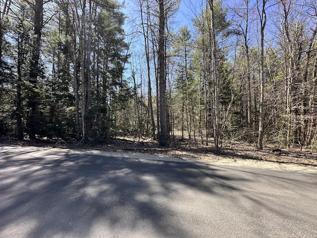 003 Libby Rd, Newfield, ME 04095