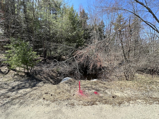 003 Libby Rd, Newfield, ME 04095