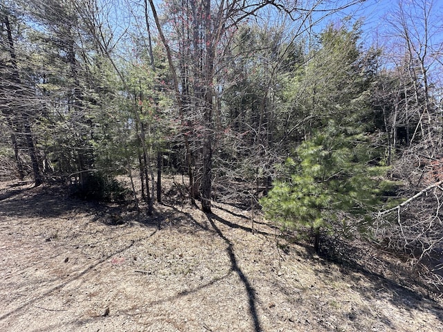 003 Libby Rd, Newfield, ME 04095