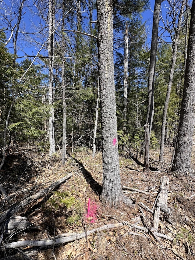 003 Libby Rd, Newfield, ME 04095