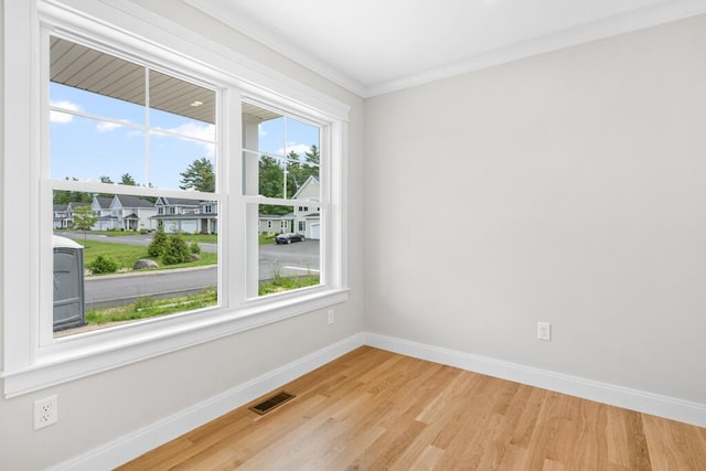 81 Creeks Edge Dr Unit 0, Saco, ME 04072 - spare room featuring plenty of natural light, light wood-style flooring, and ornamental molding