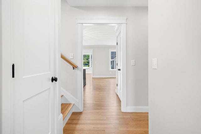 81 Creeks Edge Dr Unit 0, Saco, ME 04072 - hall with light wood-style floors and baseboards