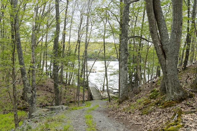 49 Moose Walk Rd, Westport Island, ME 04578 - water view with stairway and a forest