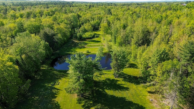 189 Stetson Rd E, Levant, ME 04456 - aerial view of a large body of water and a heavily wooded area