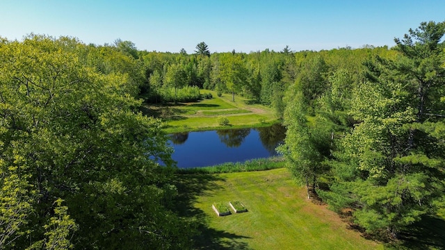189 Stetson Rd E, Levant, ME 04456 - bird's eye view of a large body of water