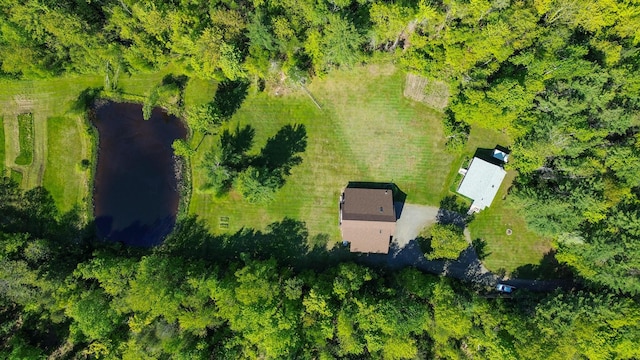 189 Stetson Rd E, Levant, ME 04456 - drone / aerial view of a large body of water
