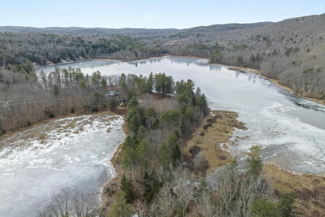 51 Forest Ln, Litchfield, ME 04350 - photo 30
