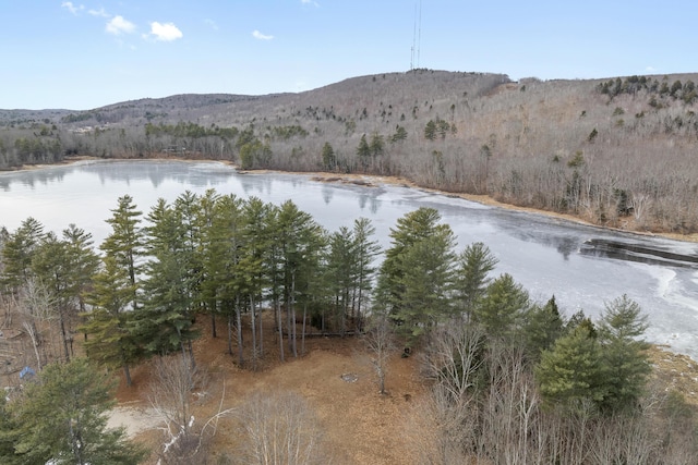 51 Forest Ln, Litchfield, ME 04350 - photo 32