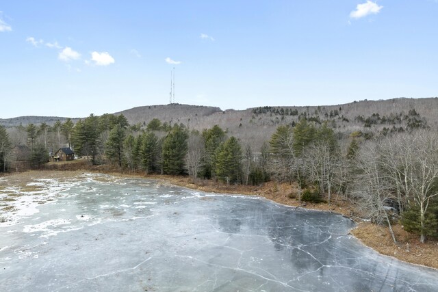 51 Forest Ln, Litchfield, ME 04350 - photo 33