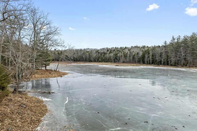 51 Forest Ln, Litchfield, ME 04350 - photo 34
