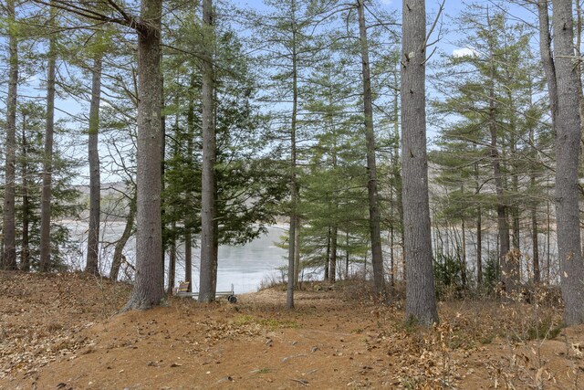 51 Forest Ln, Litchfield, ME 04350 - photo 39