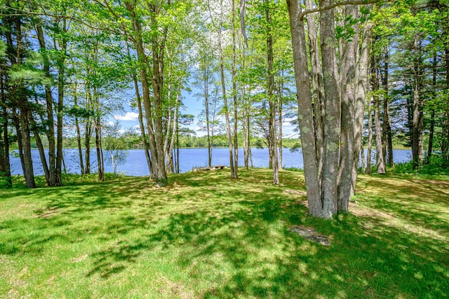 24 Cassella Dr, Jefferson, ME 04348 - water view