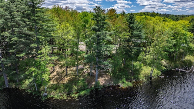 24 Cassella Dr, Jefferson, ME 04348 - view of wooded area featuring a water view