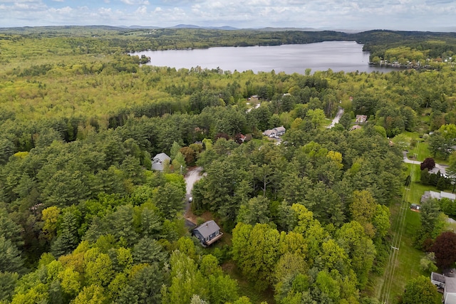 37 Boulder Dr, Auburn, ME 04210 - aerial view of a forest and a large body of water