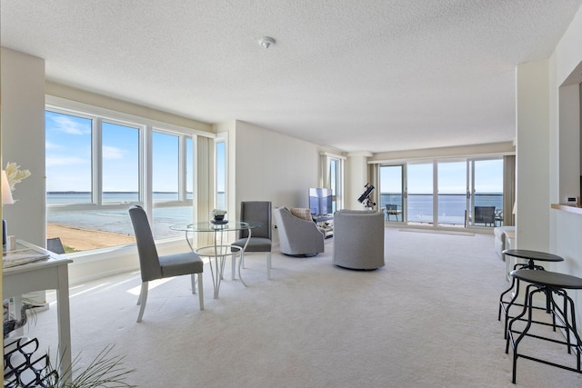 31 E Grand Ave Unit 80, Old Orchard Beach, ME 04064 - living room featuring carpet flooring, a water view, and a textured ceiling