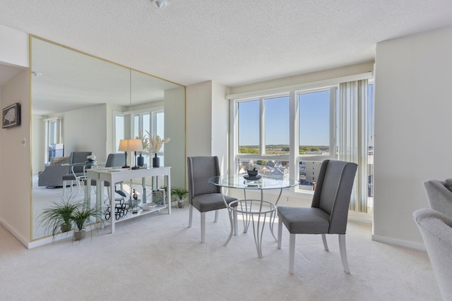 31 E Grand Ave Unit 80, Old Orchard Beach, ME 04064 - carpeted dining space featuring a textured ceiling and baseboards