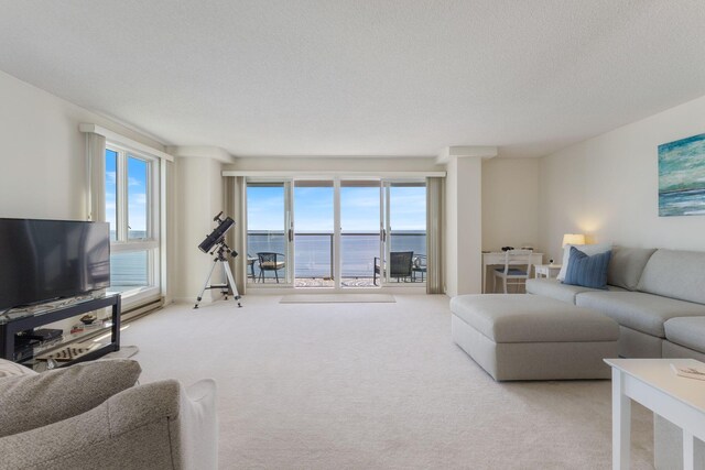 31 E Grand Ave Unit 80, Old Orchard Beach, ME 04064 - carpeted living area with a water view and a textured ceiling