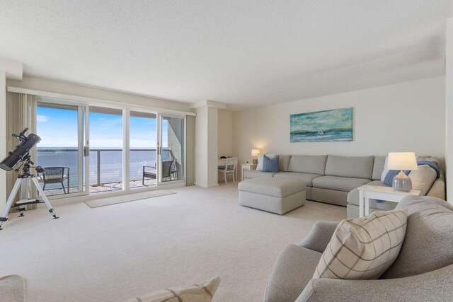 31 E Grand Ave Unit 80, Old Orchard Beach, ME 04064 - living room with a water view and carpet