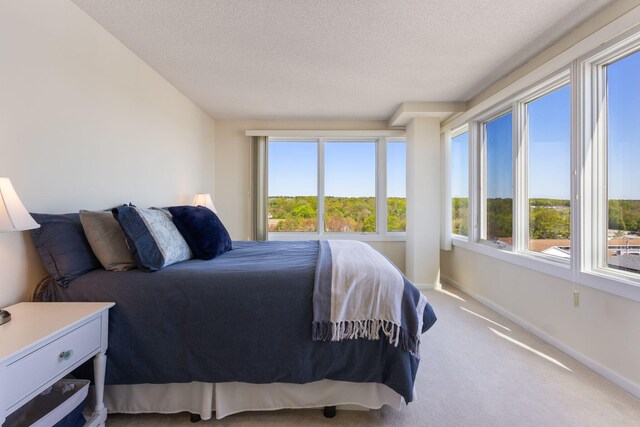 31 E Grand Ave Unit 80, Old Orchard Beach, ME 04064 - carpeted bedroom with baseboards and a textured ceiling