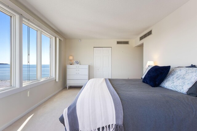 31 E Grand Ave Unit 80, Old Orchard Beach, ME 04064 - bedroom with light carpet, baseboards, and a closet