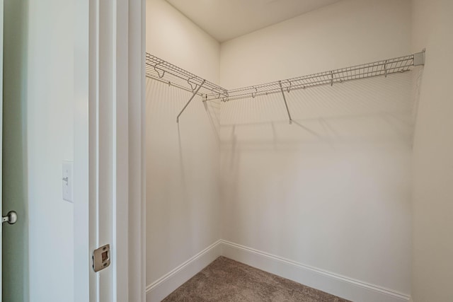 186 Falcon Crest Dr Unit 57, Gorham, ME 04038 - walk in closet featuring carpet floors