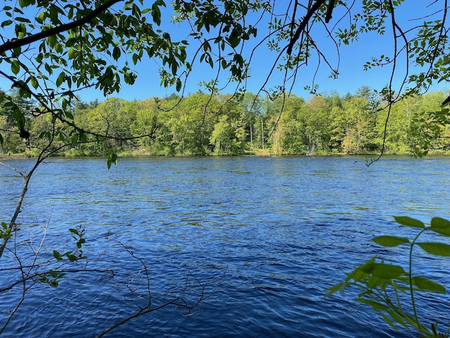 48 River Rd, Buxton, ME 04093 - water view featuring a heavily wooded area