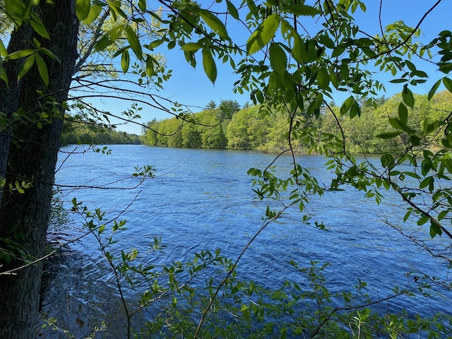 48 River Rd, Buxton, ME 04093 - water view featuring a forest