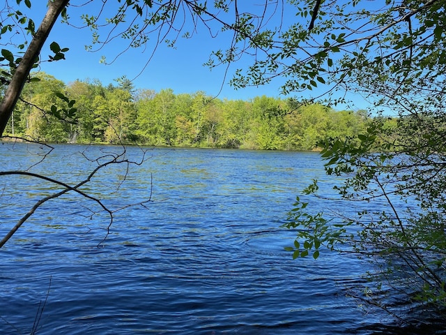 48 River Rd, Buxton, ME 04093 - water view with a forest