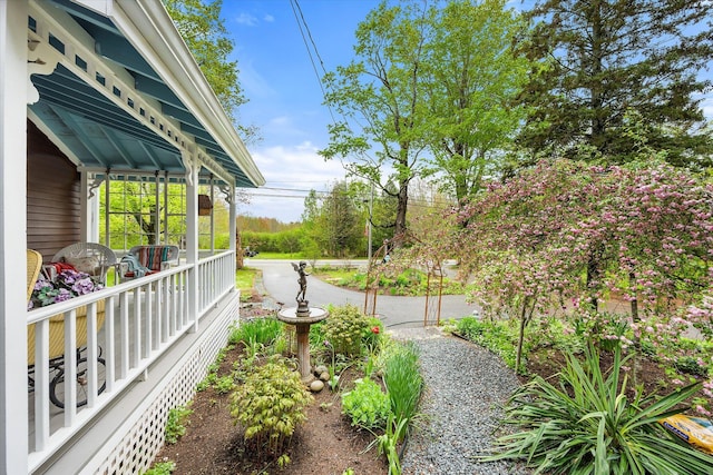 62 Blackswoods Rd, Franklin, ME 04634 - view of yard
