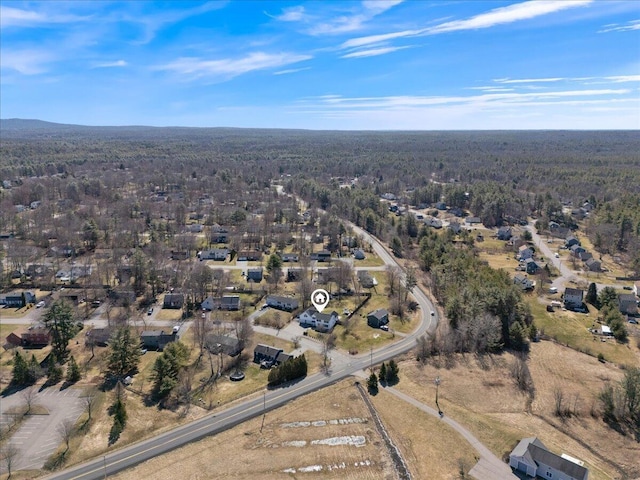 4 Buttonwood Rd, South Berwick, ME 03908 - view of property location featuring a forest