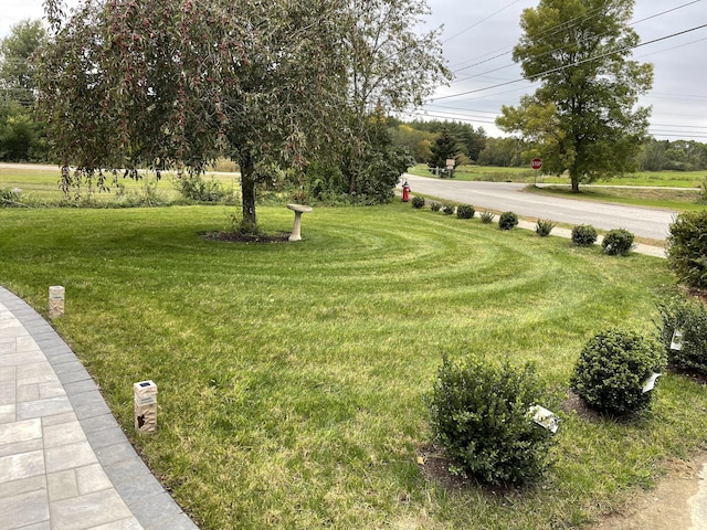 4 Buttonwood Rd, South Berwick, ME 03908 - view of grassy yard