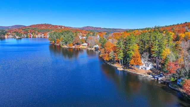 63 Naples Rd, Harrison, ME 04040 - water view featuring a forest and mountains
