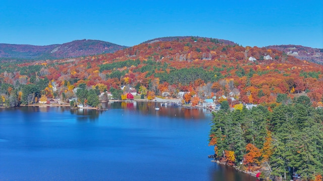 63 Naples Rd, Harrison, ME 04040 - water view featuring a heavily wooded area and a mountainous background