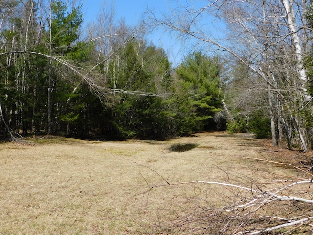 157 Bradley Ln, Mercer, ME 04957 - view of woods