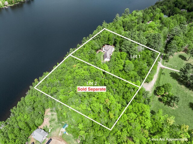 129 Maple Shore Ln, Stetson, ME 04488 - aerial view of property's location with property boundaries highlighted, a forest, and a nearby body of water