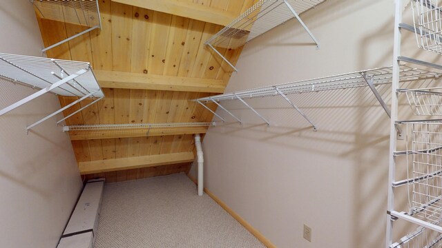 129 Maple Shore Ln, Stetson, ME 04488 - walk in closet with carpet flooring