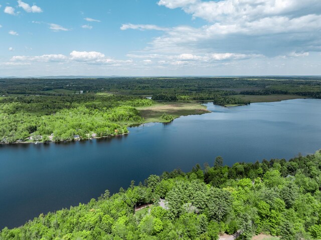 129 Maple Shore Ln, Stetson, ME 04488 - drone / aerial view of a heavily wooded area and a nearby body of water