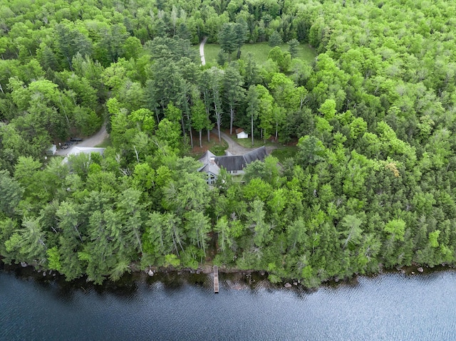 129 Maple Shore Ln, Stetson, ME 04488 - bird's eye view of a large body of water and a heavily wooded area