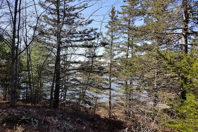 9 River Rd Lot 3, Brooklin, ME 04616 - photo 2