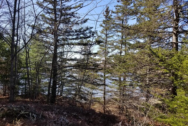 9 River Rd Lot 3, Brooklin, ME 04616 - photo 4