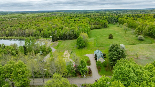 303 Williams Rd, Bradford, ME 04410 - drone / aerial view of a forest and a nearby body of water