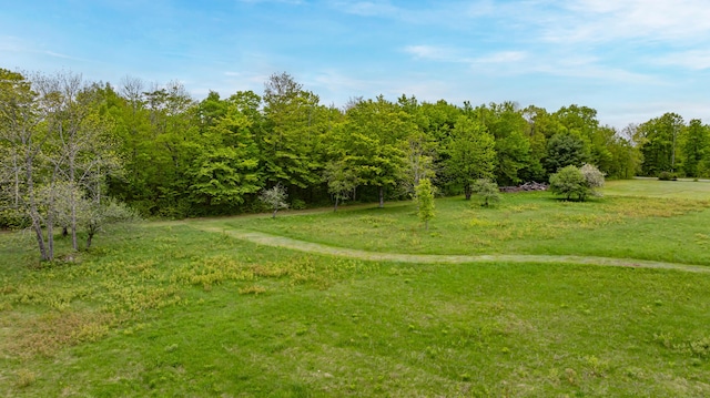 303 Williams Rd, Bradford, ME 04410 - view of community with a lawn and a wooded view