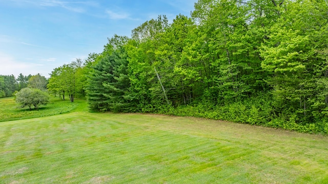 303 Williams Rd, Bradford, ME 04410 - view of grassy yard